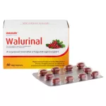Walmark Walurinal Aranyvesszővel kapszula 60x