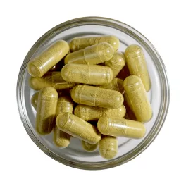 LXR Ginkgo Komplex kapszula 60x