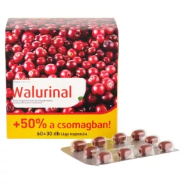 Walmark Walurinal Aranyvesszővel kapszula 60+30x
