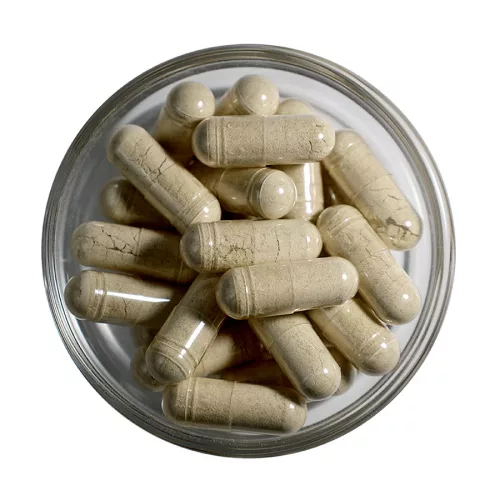 LXR Echinacea +Béta-Glükán +D-Vitamin Komplex 60x