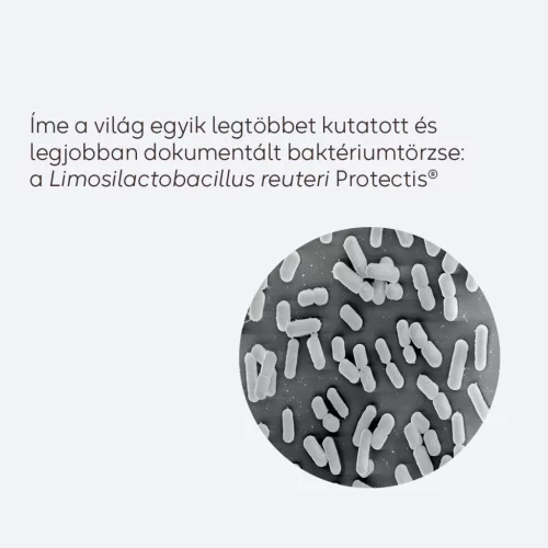 Biogaia Protectis Felnőtt D-vitamin rágótabletta 20x