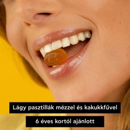 Apivita kakukkfüves torokpasztilla 45g
