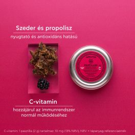 Apivita szeder torokpasztilla 45g
