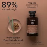Apivita Sampon zsíros korpa ellen 250ml