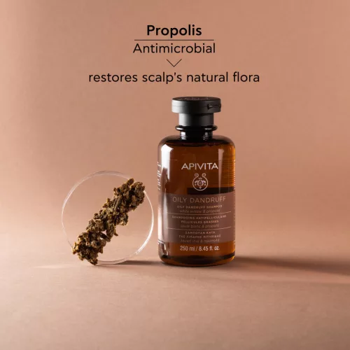 Apivita Sampon zsíros korpa ellen 250ml