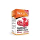BioCo Csipkebogyós C-vitamin 500mg retard tabletta 100x