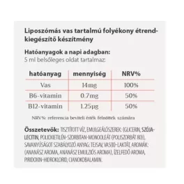 Vitaking VitaFer-L vas szirup 120 ml