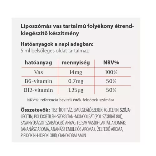 Vitaking VitaFer-L vas szirup 120 ml