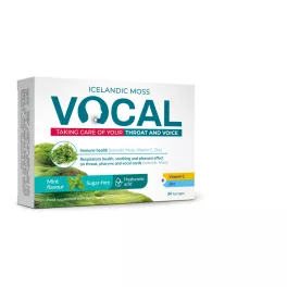 Vocal szopogató tabletta menta ízű 24x