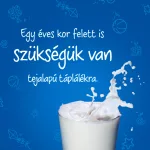 Lactogen 3 Junior vaníliás ízű tejalapú italpor 12+ hó 500g