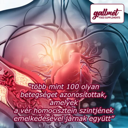 Gallmet Szív+Ér kapszula 90x