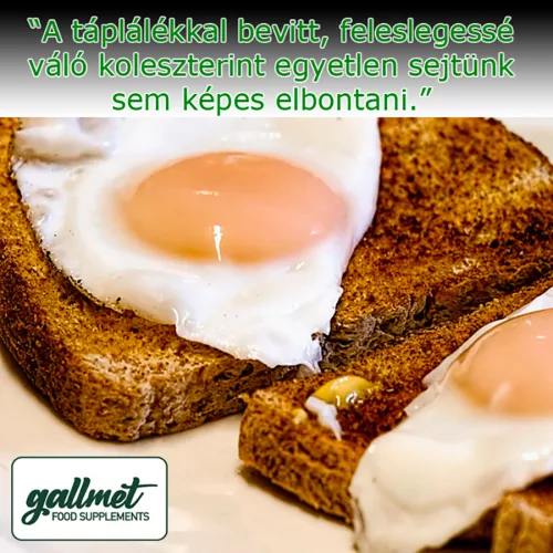 Gallmet Natural étrend-kiegészítő, epesav kapszula 60 db 24 g
