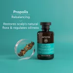 Apivita Sampon zsíros hajra 250ml