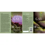 GAL B-komplex kapszula 60x