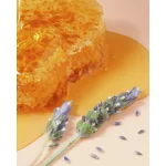 Nuxe Reve de Miel mézes ajakápoló 10ml
