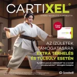 Cartixel filmtabletta 60x