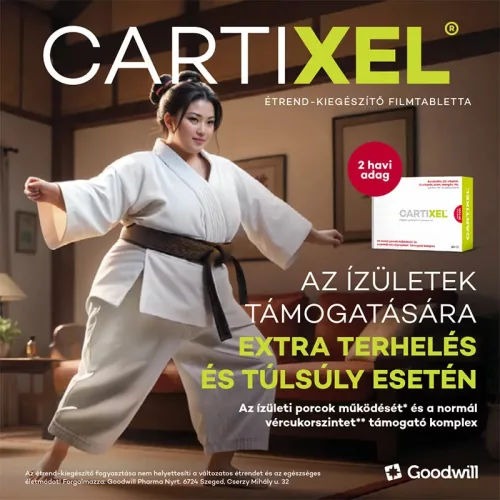 Cartixel filmtabletta 60x