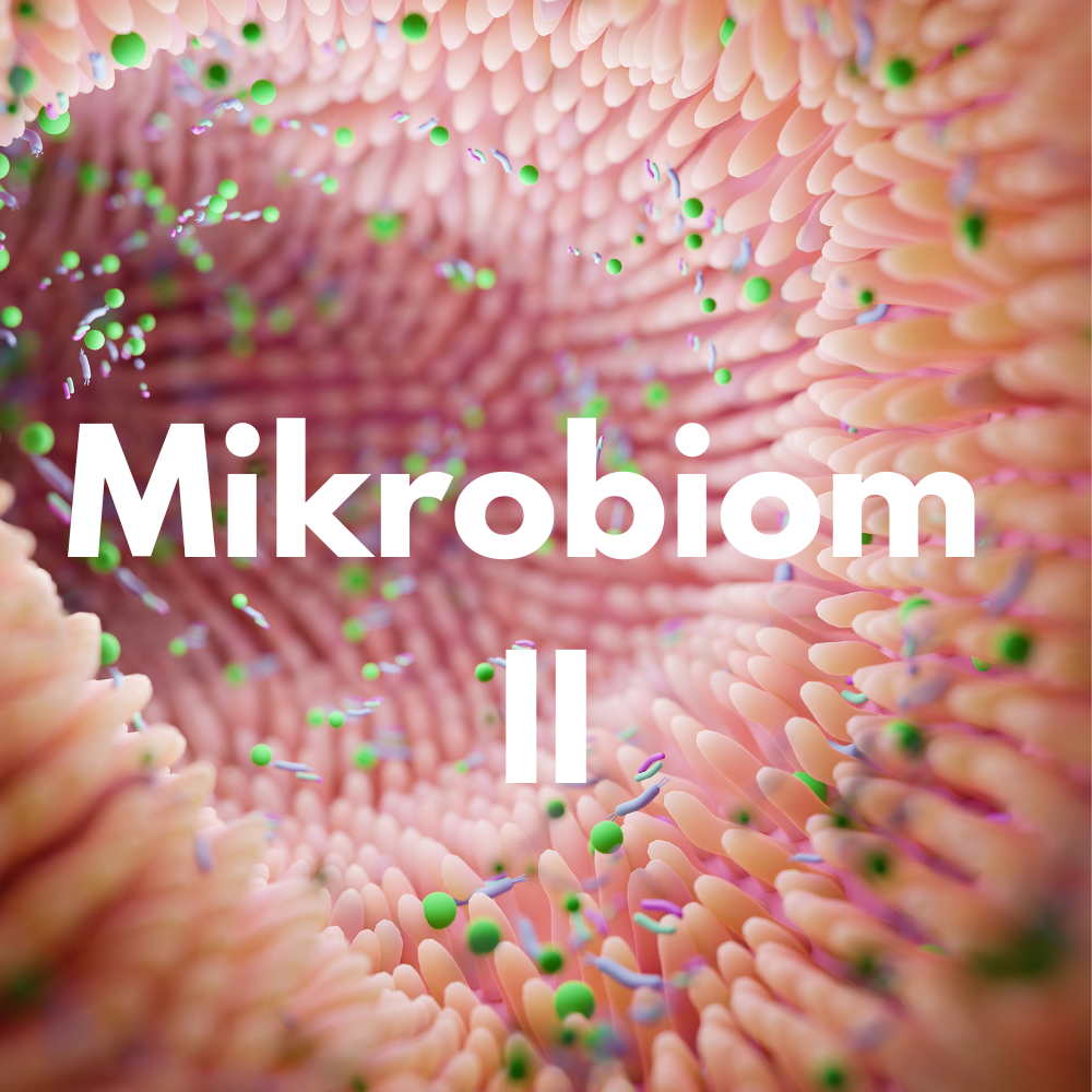 🧠 A mikrobiom egészségügyi jelentősége – hogyan hat az immunrendszerre, a mentális egészségre?